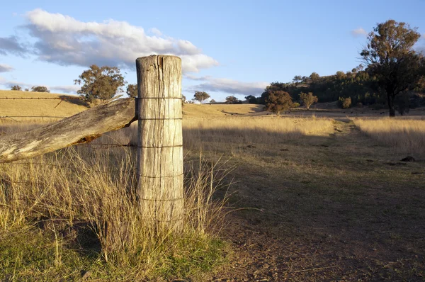 Recinzione agricola — Foto Stock