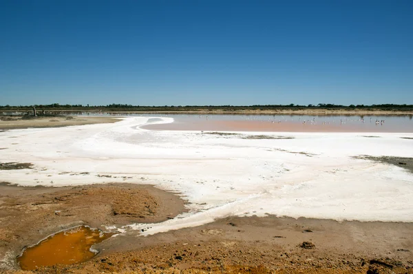 Lac salé — Photo