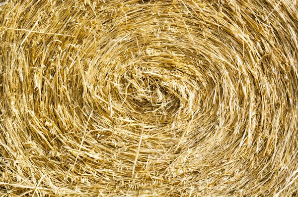 Hay Bales — Stock Photo, Image