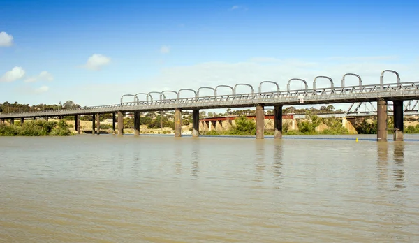 Murray Bridge — Stok fotoğraf