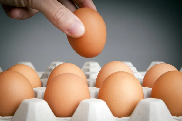 Mano recogiendo huevos — Foto de Stock