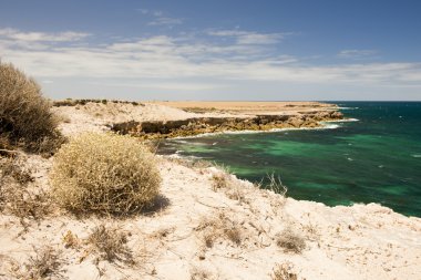 Avustralya kıyıları