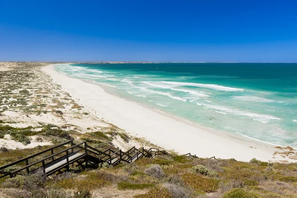 Dunas de arena costera — Foto de Stock