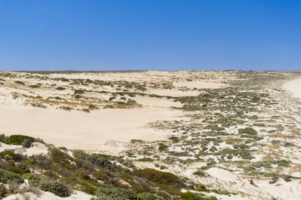 Dunas de areia costeiras — Fotografia de Stock