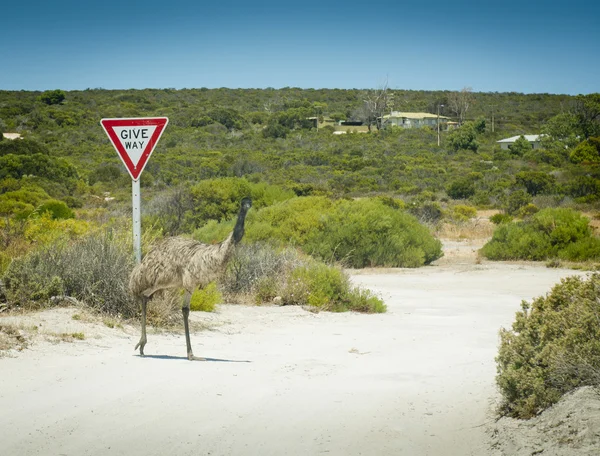 Emu Give Way Sign — Stock Photo, Image