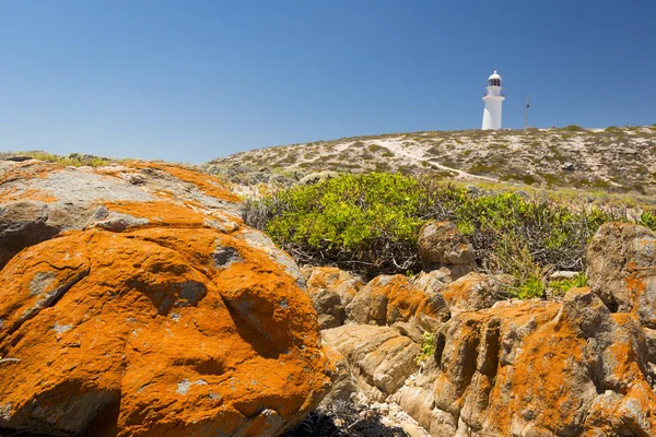 Deniz feneri ve kayalar — Stok fotoğraf