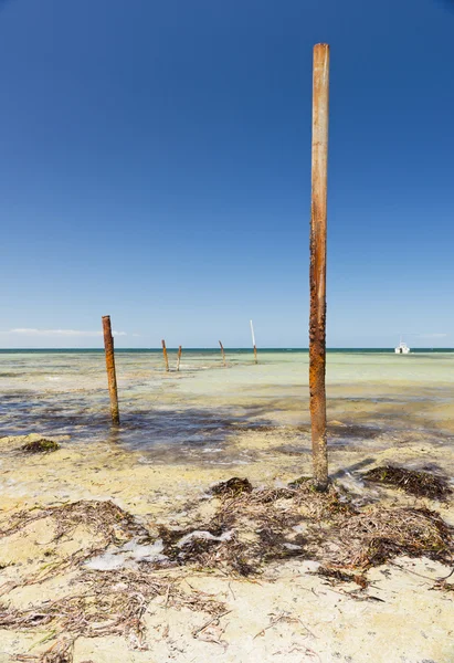 Pólos oceânicos — Fotografia de Stock