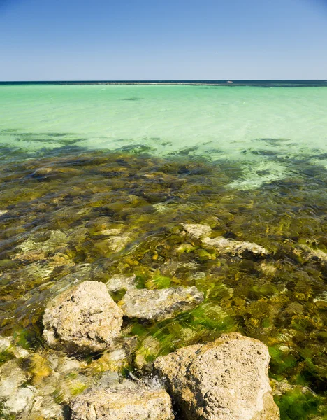 Tropik deniz — Stok fotoğraf