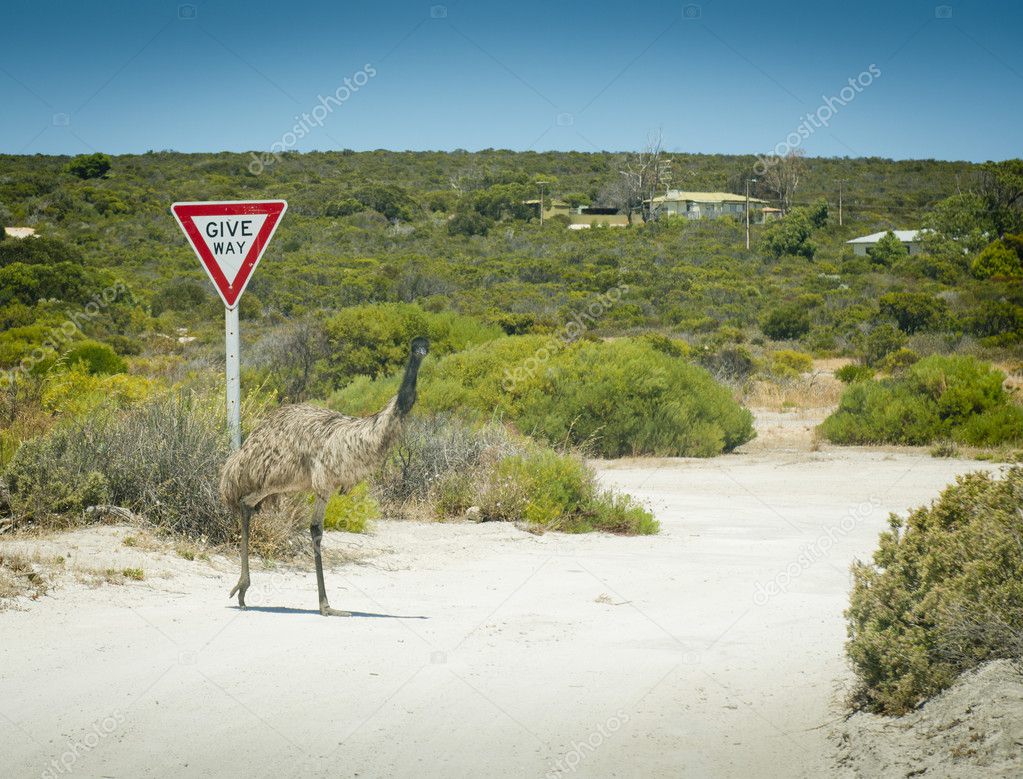 Emu Give Way Sign