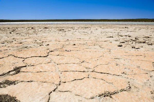 Tierra agrietada — Foto de Stock