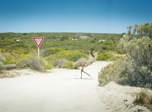 Emu dać znak sposób — Zdjęcie stockowe