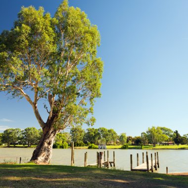 Murray Nehri İskelesi