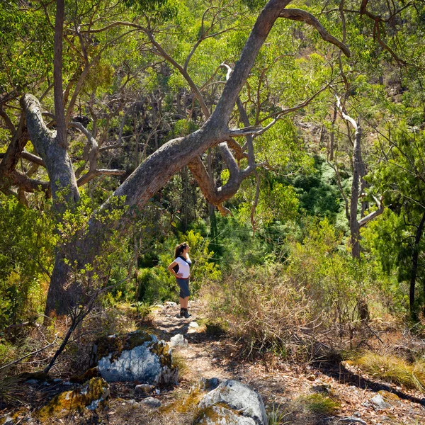 Yürüyüş kadın — Stok fotoğraf