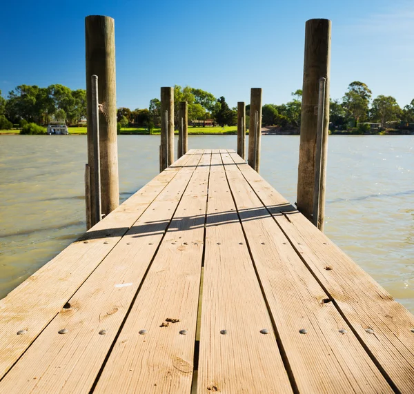 Murray river mola — Stock fotografie