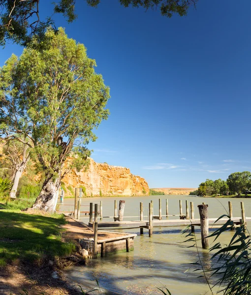 Murray river brygga — Stockfoto