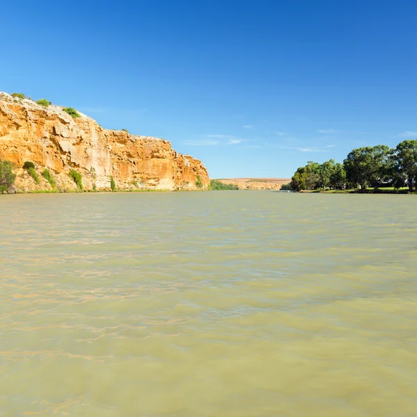 Murray River — Stockfoto