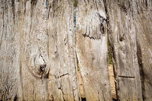 Vieille clôture en bois — Photo