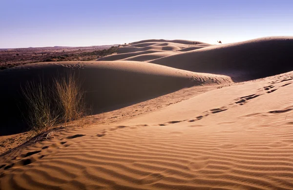 Woestijn zand-duin — Stockfoto