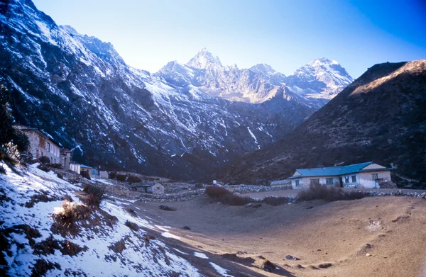 Himalayan herbaciarnia — Zdjęcie stockowe