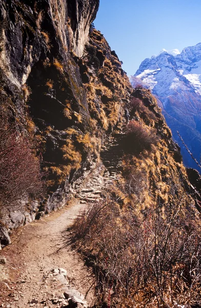Trekking Himalayano — Foto Stock