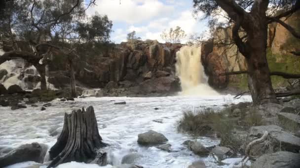 Nigretta falls, Australië — Stockvideo