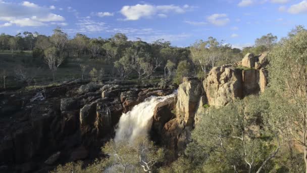 Nigretta falls, Australië — Stockvideo