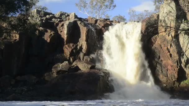 Nigretta falls, Australien — Stockvideo