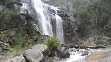 Mackenzie, grampians düşüyor