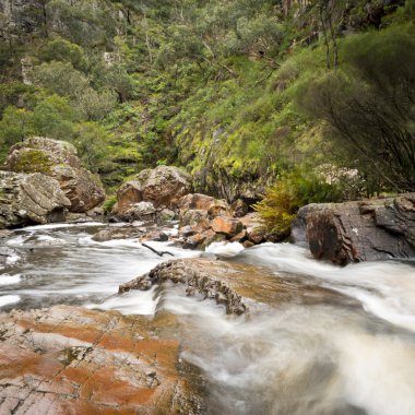 Mackenzie, grampians düşüyor