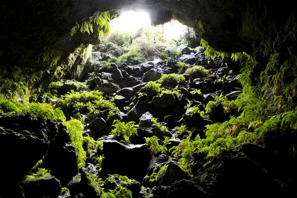 Caverna — Fotografia de Stock