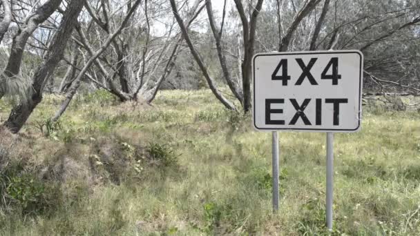 Pista de salida del bosque 4x4 — Vídeos de Stock