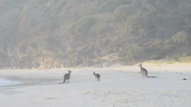 Kanguru Beach