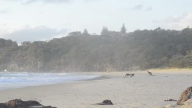 Kanguru Beach
