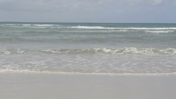 Vagues Lapping Beach 