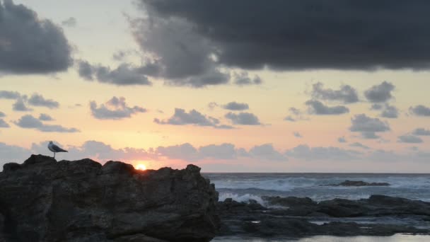 Salida del sol del océano — Vídeos de Stock