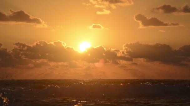 Восход океана — стоковое видео