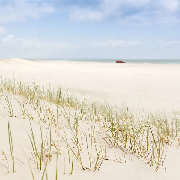 Strand gras met 4wd — Stockfoto