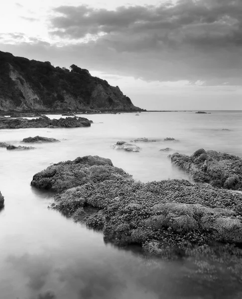 Balcombe Point, Monte Martha — Foto de Stock