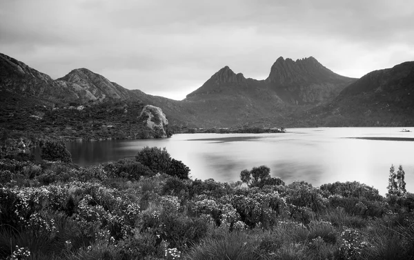Montagna di culla, tasmania — Foto Stock