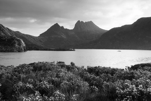 Cuna Montaña, Tasmania — Foto de Stock