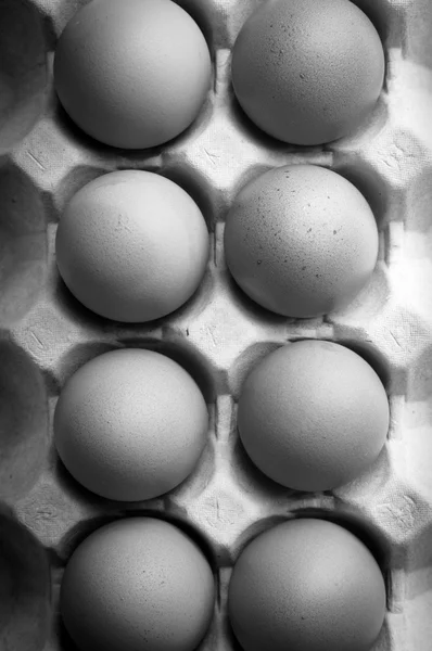 Eggs in black and white — Stock Photo, Image