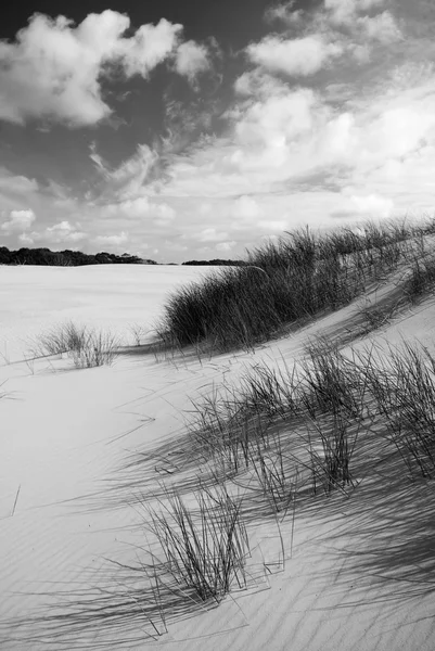 Sanddyner — Stockfoto