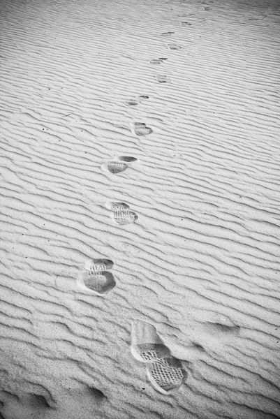 Fußabdrücke im Sand — Stockfoto