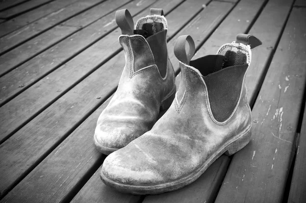 Pracovní a bezpečnostní obuv — Stock fotografie