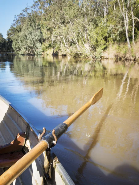 Rowing Yarra River Melbourne — Stock Photo, Image