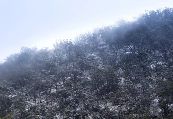 々の間を新鮮な雪落下 厚い雲と山の冬 — ストック写真