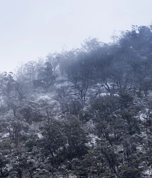 々の間を新鮮な雪落下 厚い雲と山の冬 — ストック写真