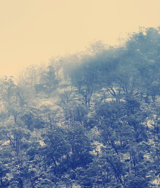 Invierno Las Montañas Con Nieve Fresca Cayendo Espesa Nube Través — Foto de Stock