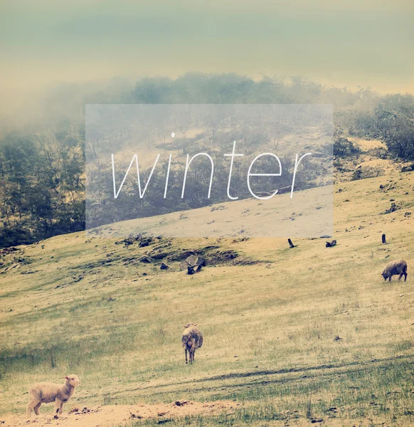 Kış poster — Stok fotoğraf
