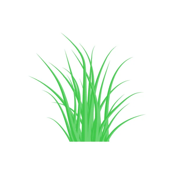 Green Grass Pattern Bush Grass — Stock Vector